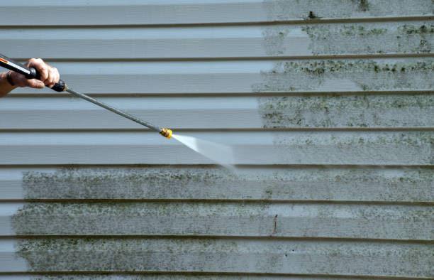 Best Local Pressure Washing Services  in Cedar Ridge, CA