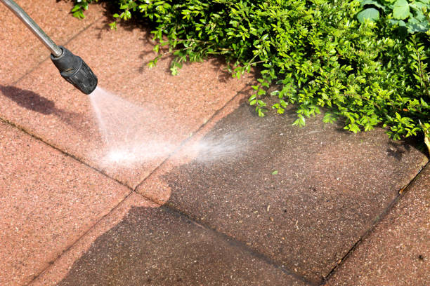 Best Power Washing Near Me  in Cedar Ridge, CA